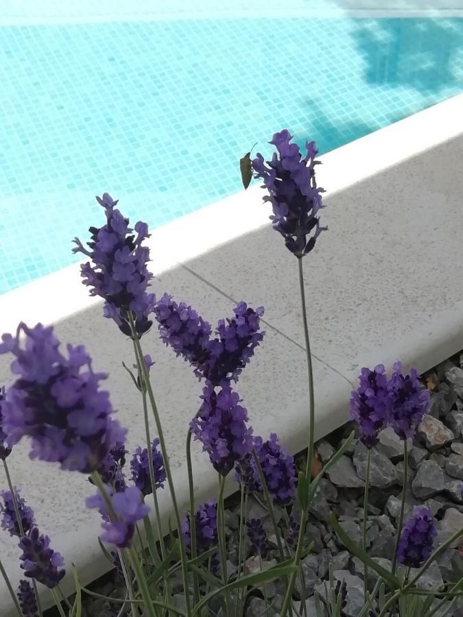 Vila Martina - Bellevue Šmrika Kültér fotó